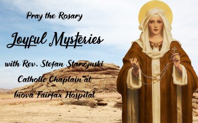 Joyful Mysteries of the Rosary – Multimedia