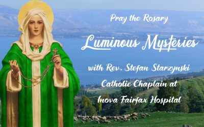Luminous Mysteries of the Rosary – Multimedia