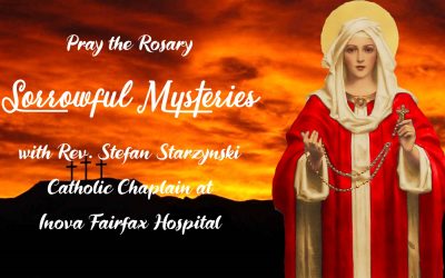 Sorrowful Mysteries of the Rosary – Multimedia